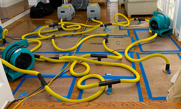 Professional Burst Pipe Water Damage technician working in Corinth, TX